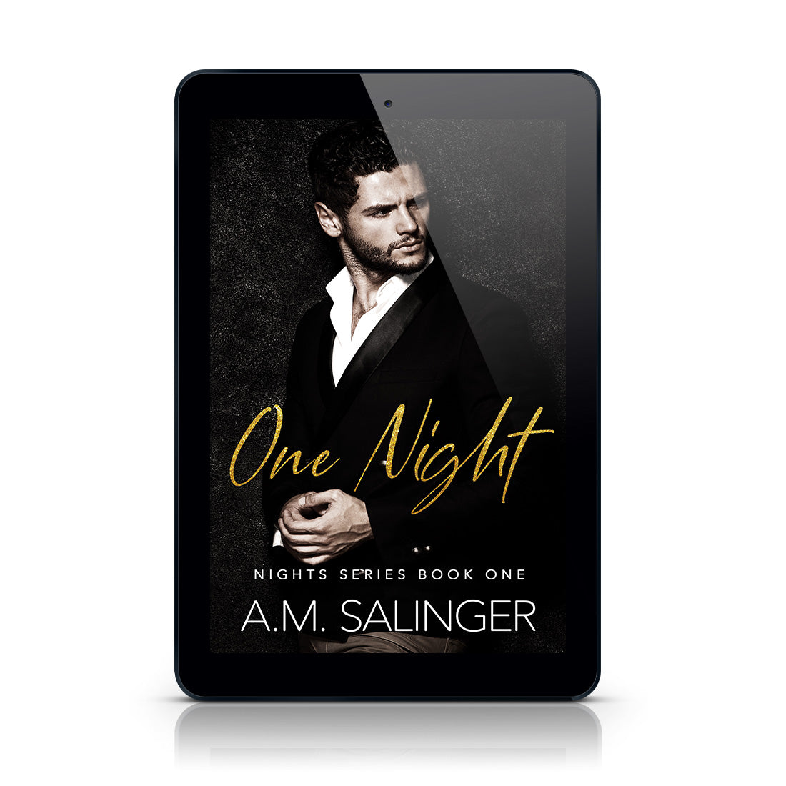 One Night (Nights Series 1) EBOOK contemporary mm romance author am salinger