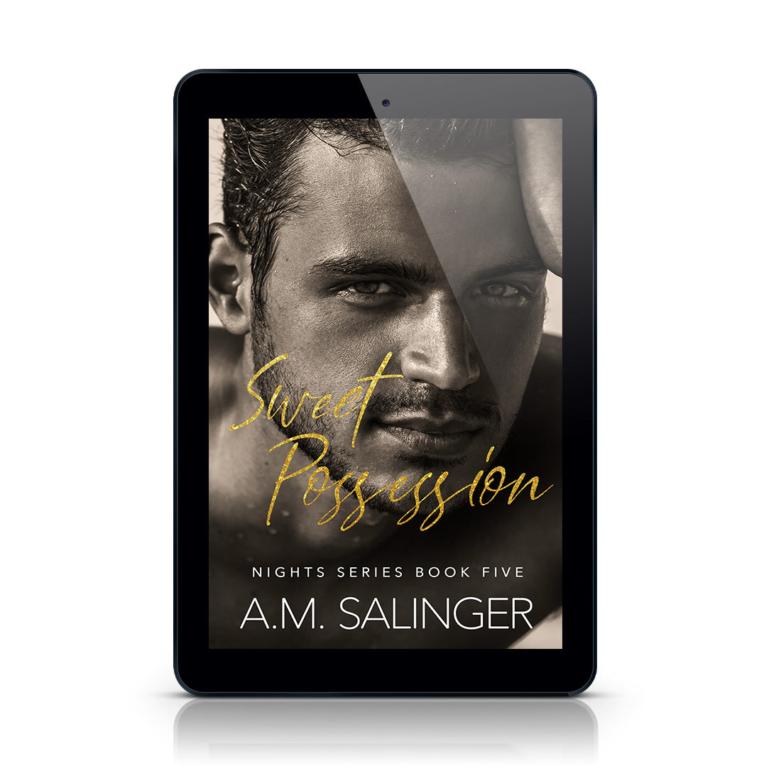 Sweet Possession (Nights Series 5) EBOOK contemporary mm romance author am salinger