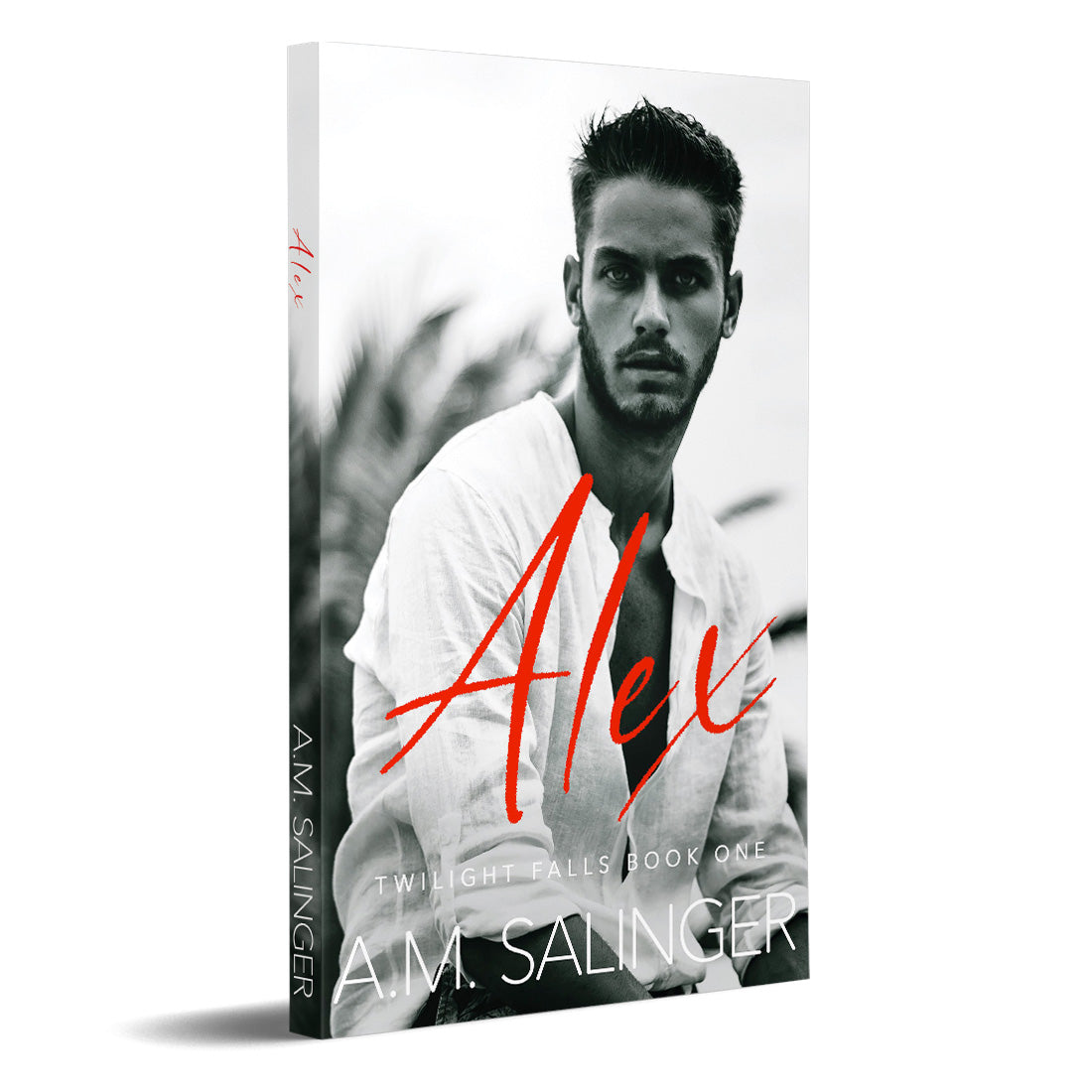 Alex (Twilight Falls Book 1) PAPERBACK contemporary small town mm romance author am salinger