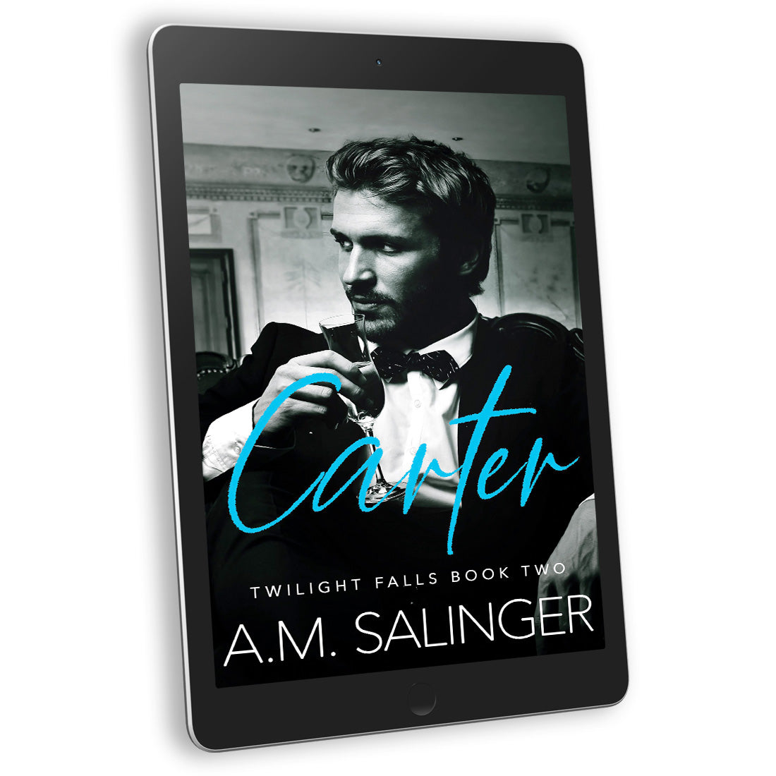 Carter (Twilight Falls Book 2) EBOOK contemporary small town mm romance author am salinger