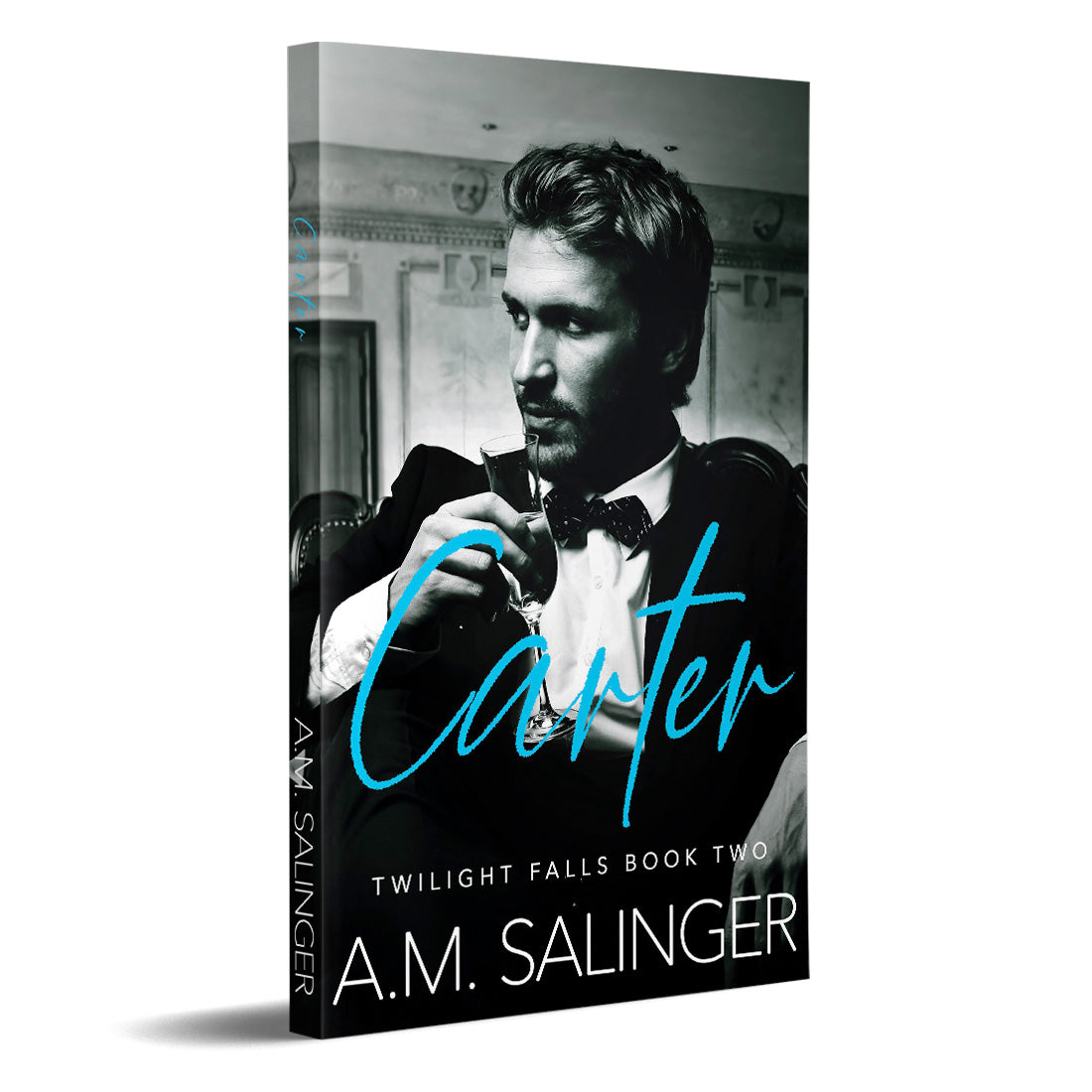 Carter (Twilight Falls Book 2) PAPERBACK contemporary small town mm romance author am salinger