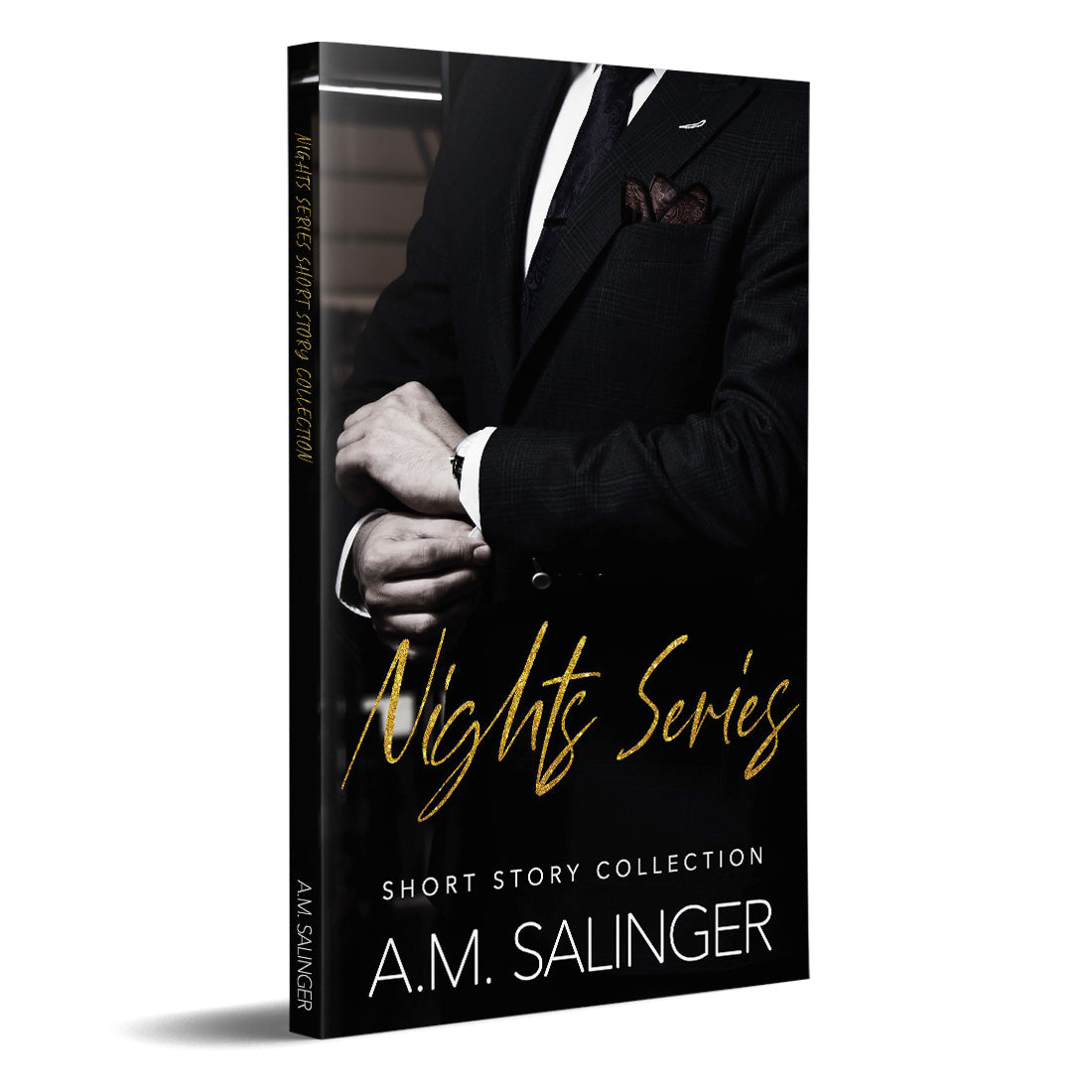 Nights Series Short Story Collection PAPERBACK contemporary mm romance author am salinger