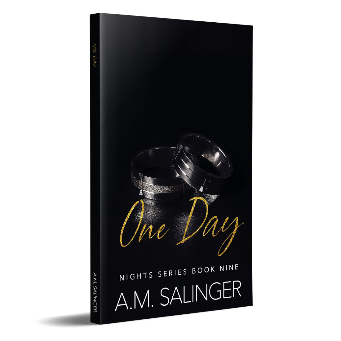 One Day (Nights Series 9) PAPERBACK contemporary mm romance author am salinger