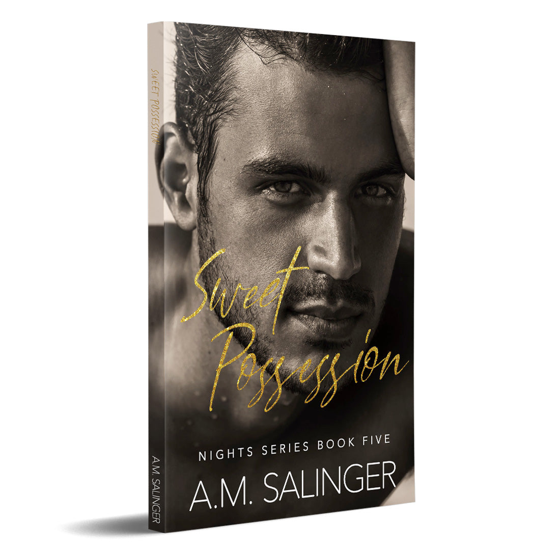 Sweet Possession (Nights Series 5) PAPERBACK contemporary mm romance author am salinger