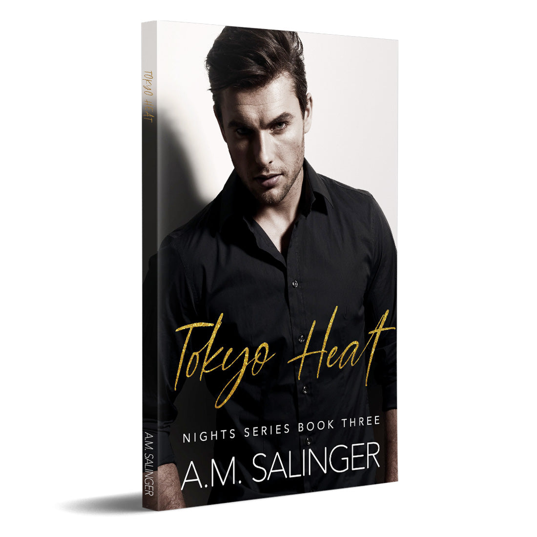 Tokyo Heat (Nights Series 3) PAPERBACK contemporary mm romance author am salinger