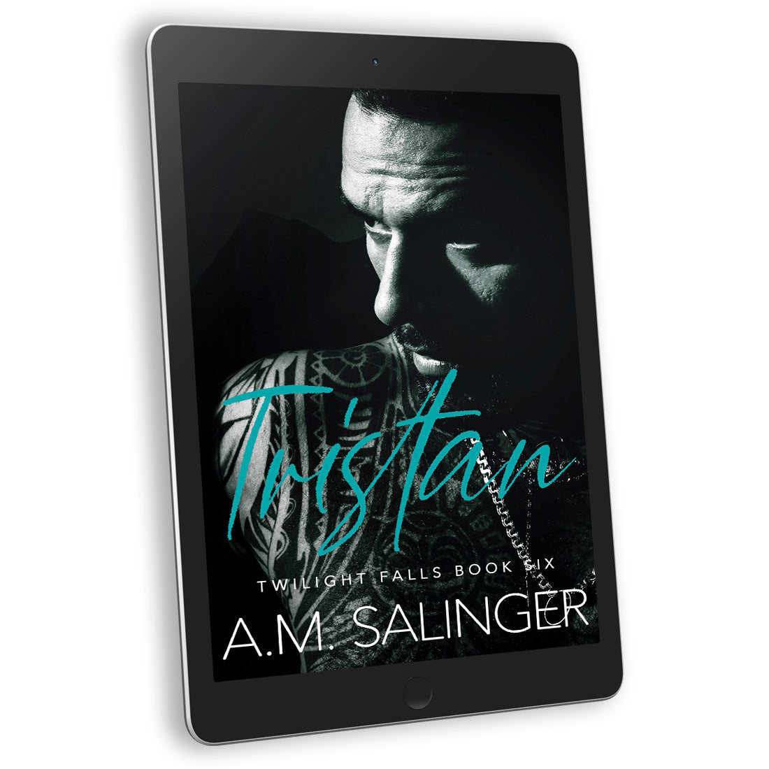 Tristan (Twilight Falls Book 6) EBOOK contemporary small town mm romance author am salinger