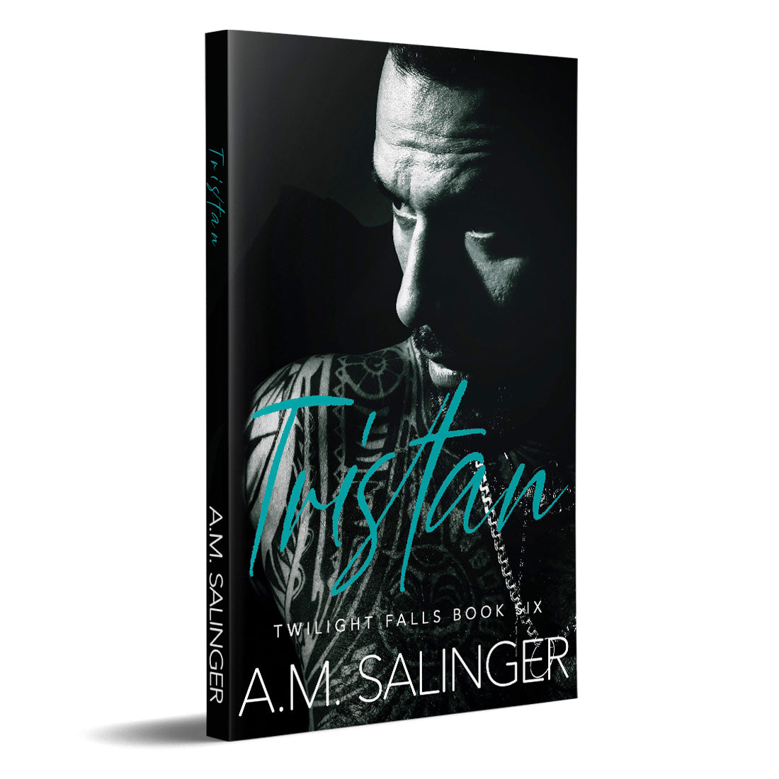 Tristan (Twilight Falls Book 6) PAPERBACK contemporary small town mm romance author am salinger