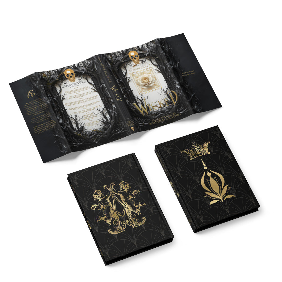 Wicked (Fallen Messengers Short Story Collection) Special Edition HARDBACK dust jacket and case